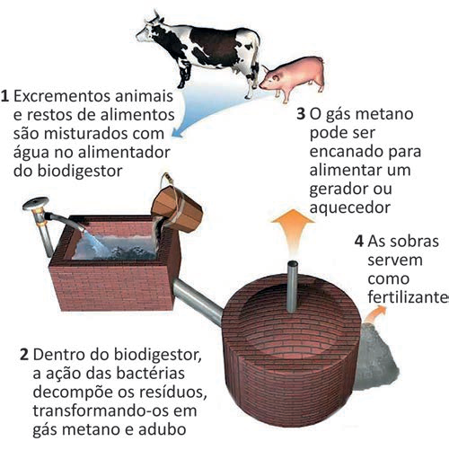 Imagem de apoio da questão 116